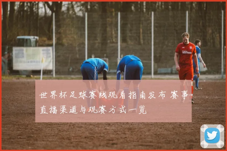 世界杯足球赛线观看指南发布 赛事直播渠道与观赛方式一览