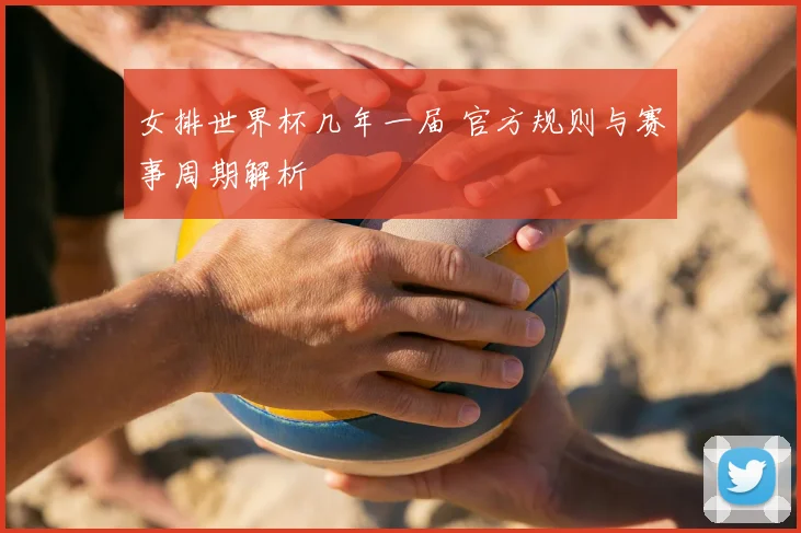 女排世界杯几年一届 官方规则与赛事周期解析