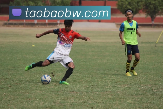 开云app在线登陆入口发展历程